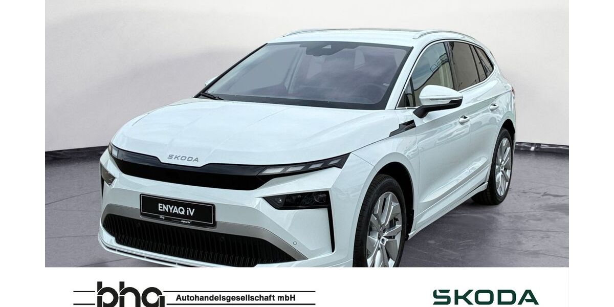 Skoda Enyaq 5.000 km 50.890 &euro; Freiburg 79115
