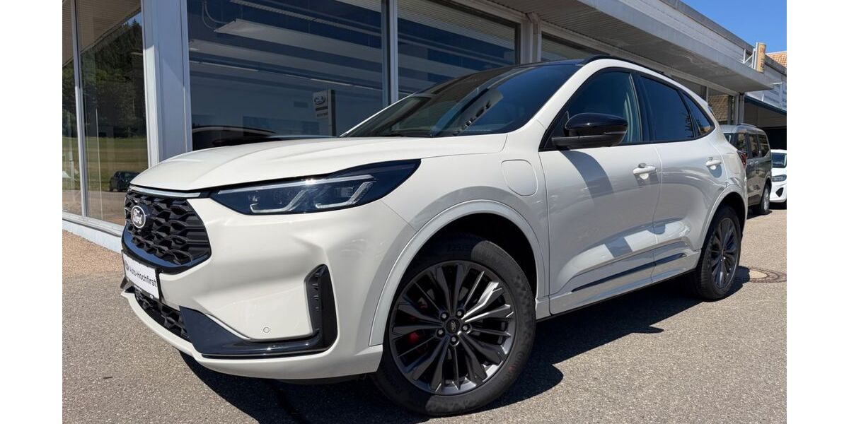 Ford Kuga 4.980 km 43.490 &euro; Titisee Neustadt 79822