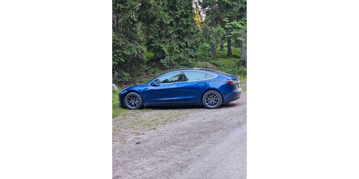 Tesla Model 3 114.000 km 22.900 &euro; Titisee-Neustadt 79822